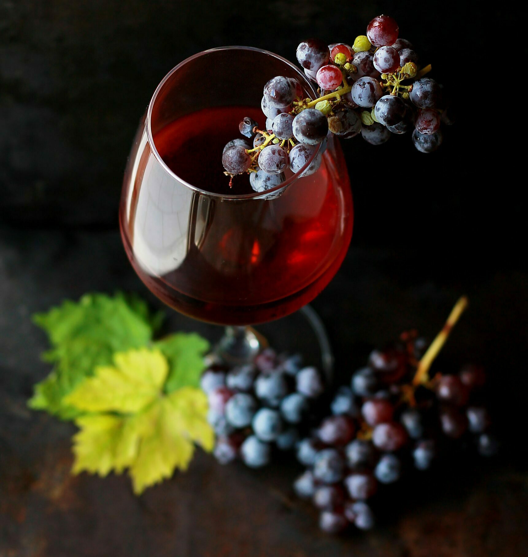 Degustation de vin au chateau Laverdines